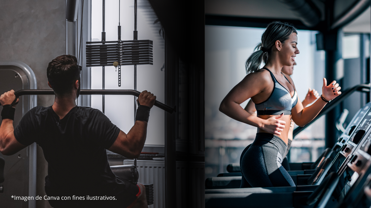 Inicio imagen generica con fines ilustrativosfit 4