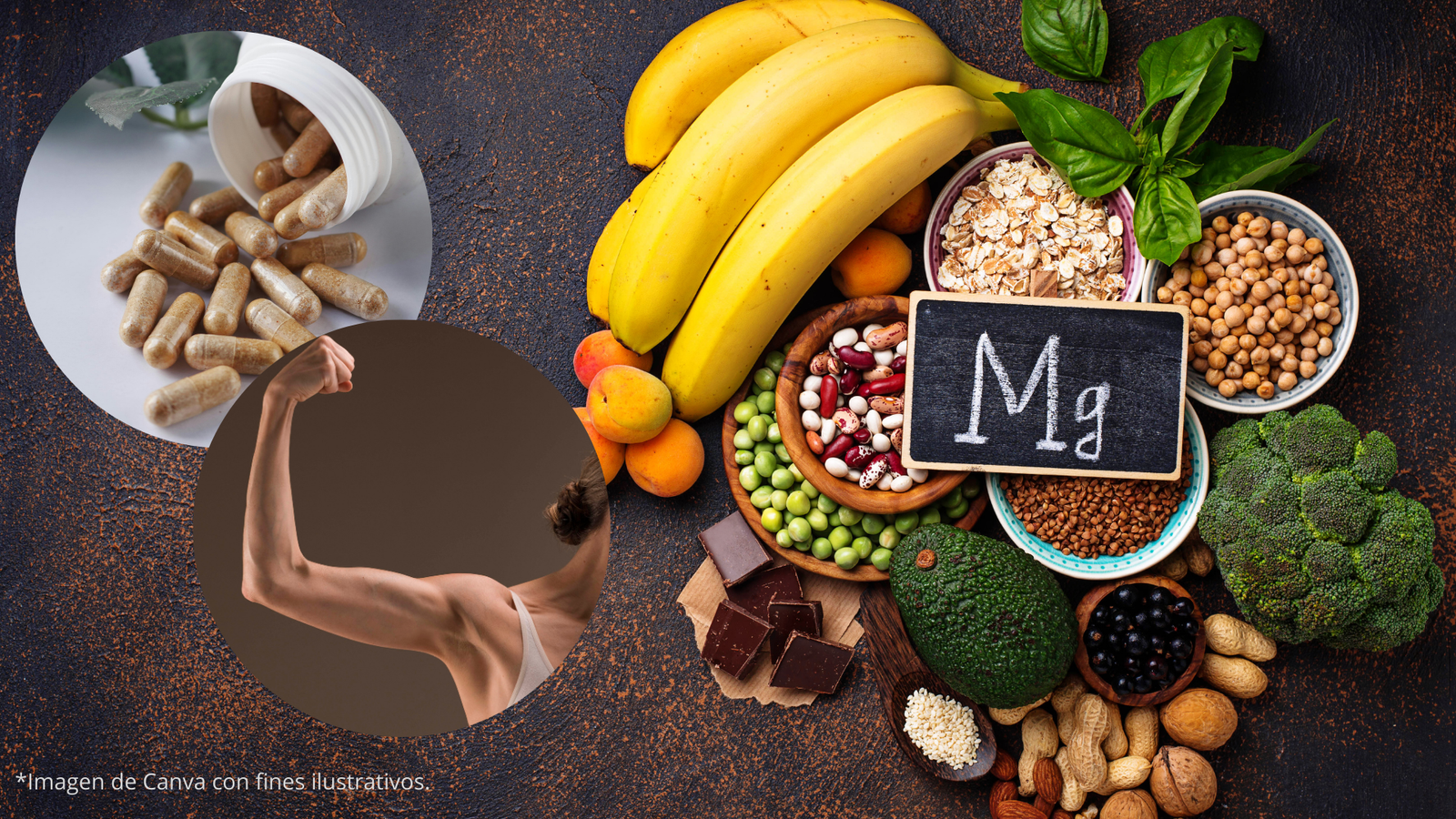 Inicio guia de magnesio