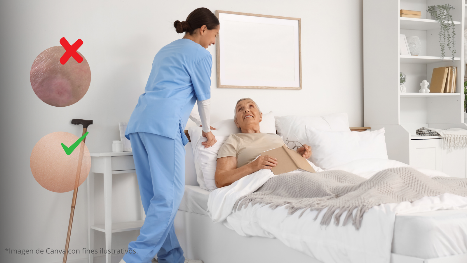 Inicio movilidad del adulto mayor